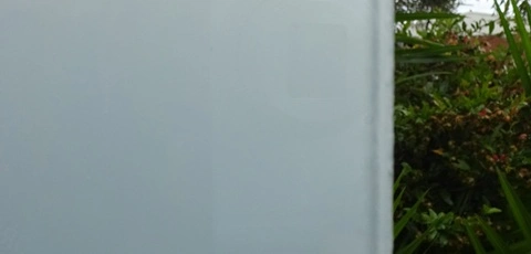 Frosted glass against palm trees